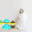 Cat Rotating Windmill Multi-Function Toys Itch Scratching Device Teeth Shining Toy