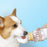 New Go Out Water Cup Portable Walking Dog Drinking Water Pet Supplies